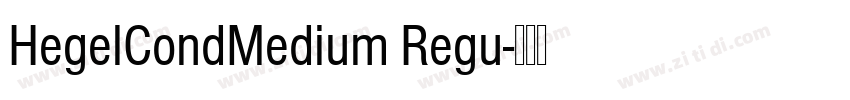 HegelCondMedium Regu字体转换